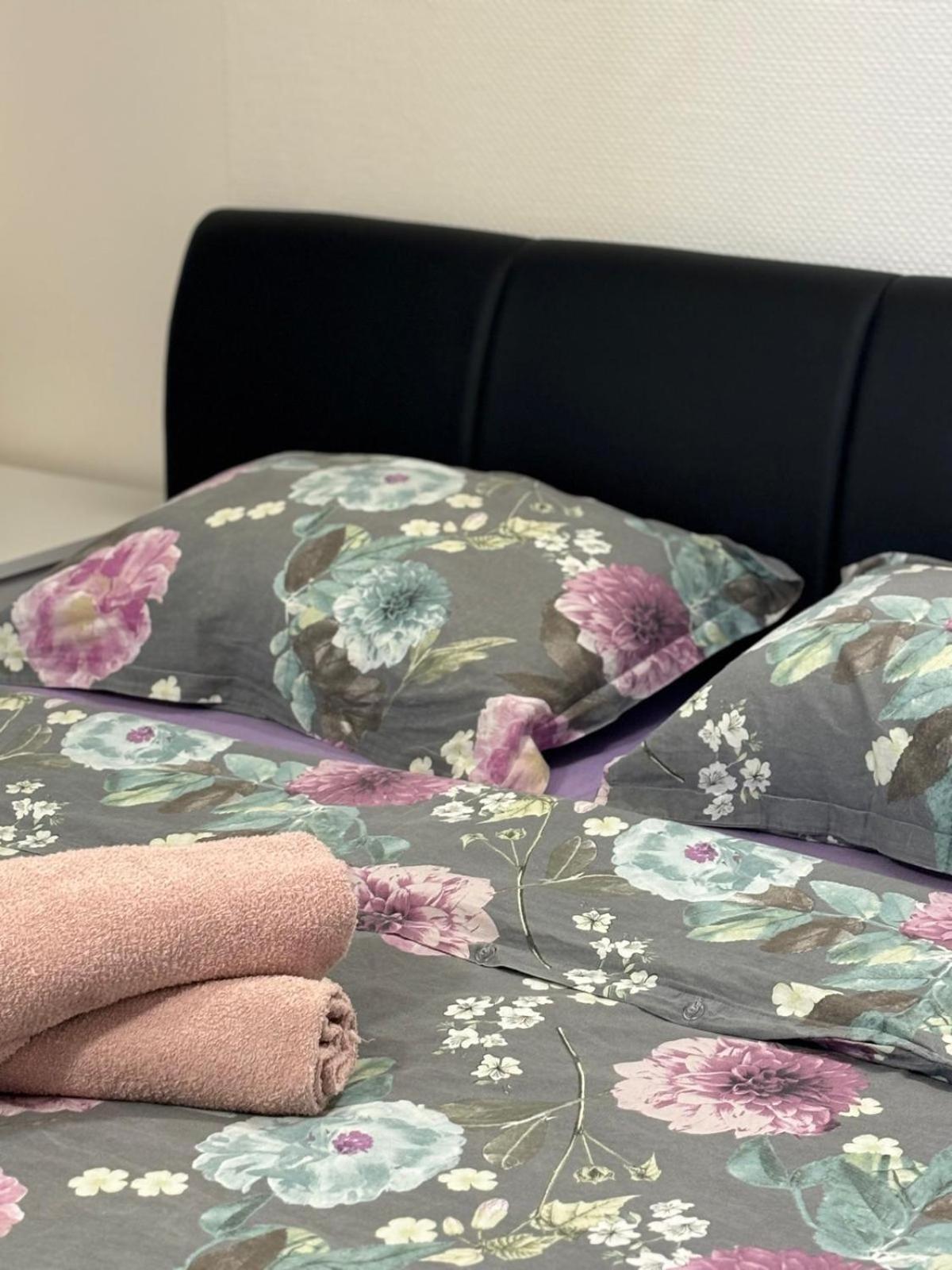 Apartmani Bosnjak ستاريغغاد باكلينتسا الغرفة الصورة